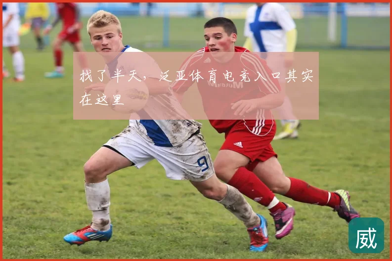 找了半天,泛亚体育电竞入口其实在这里